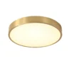 Nordic Modern Copper LED Ceiling Light Fixture